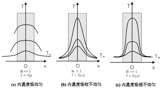 Bi 不同的内温度场分布